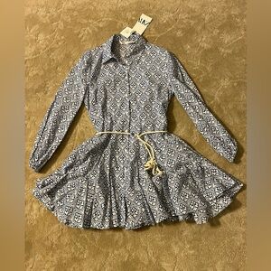 Zara long sleeve mini dress.